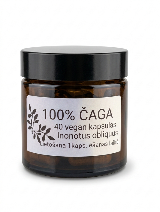 100% Čagas pulveris 40 vegan kapsulas Dzimtais Dārzs